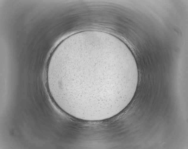 X0000115151531200912081336