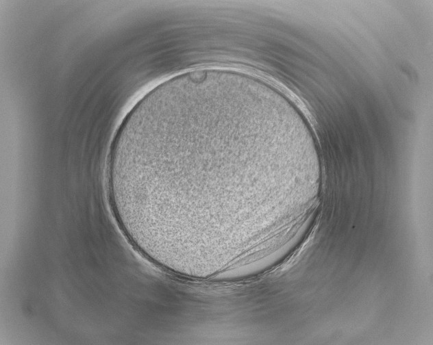 X0000115151533200912081336