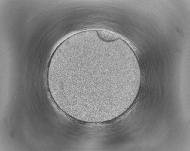 X0000115151534200912081336