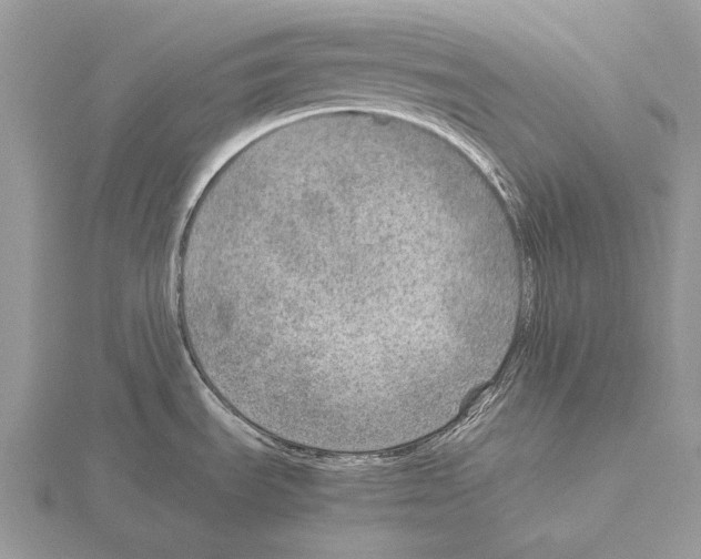 X0000115151535200912081336