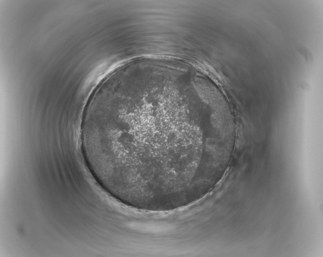 X0000115160002200911101800
