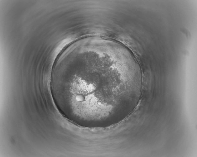 X0000115160003200911101800