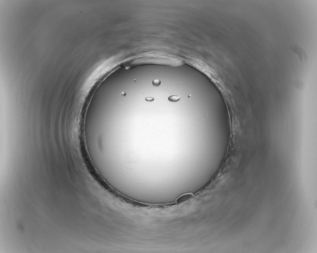 X0000115160007200911101800