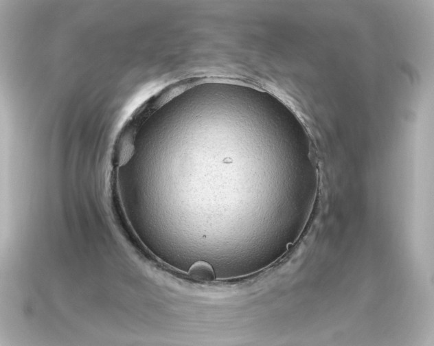 X0000115160008200911101800