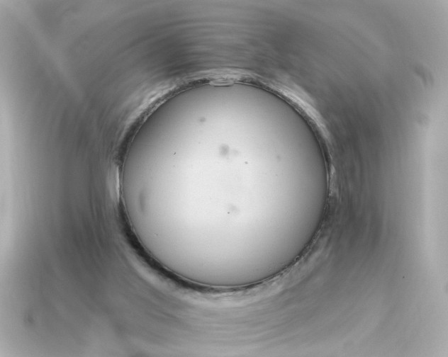 X0000115160013200911101800