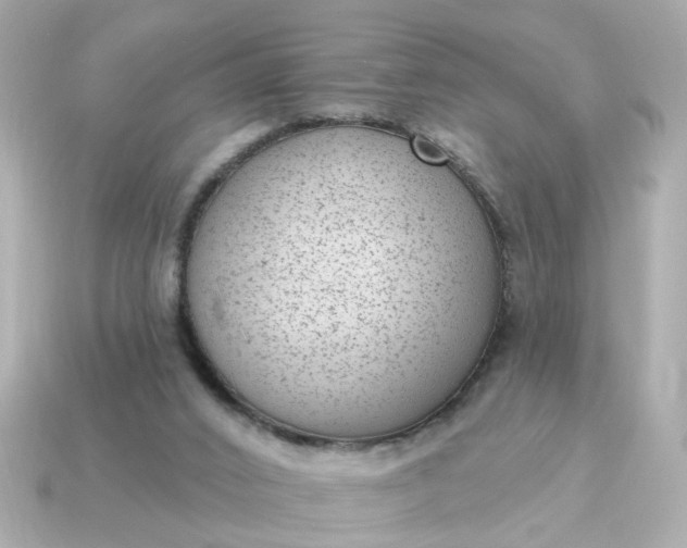 X0000115160016200911101800