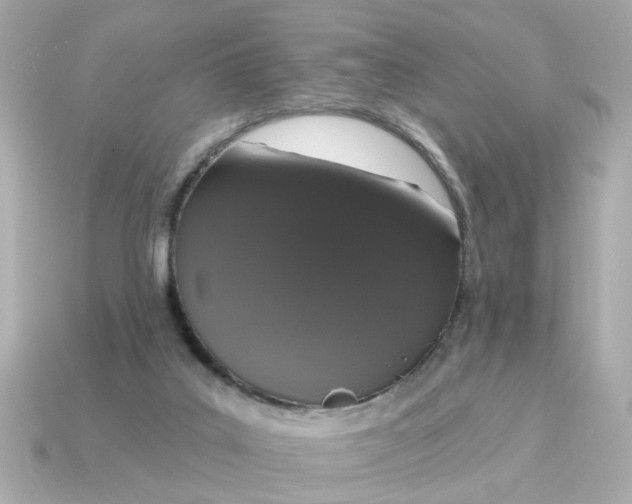 X0000115160019200911101759