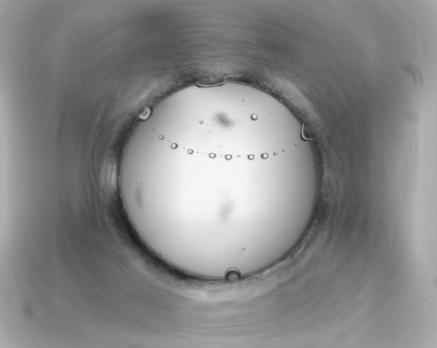 X0000115160021200911101759