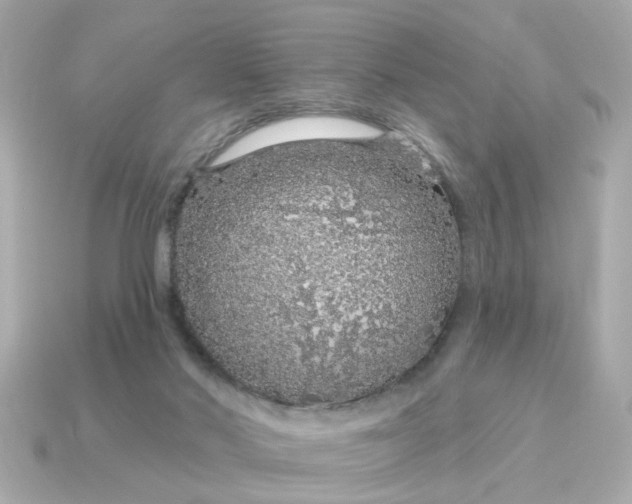 X0000115160022200911101759