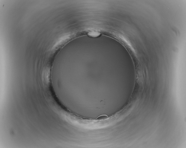 X0000115160023200911101759