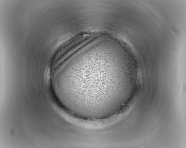 X0000115160024200911101759