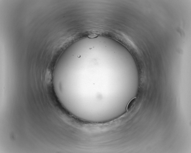 X0000115160025200911101759