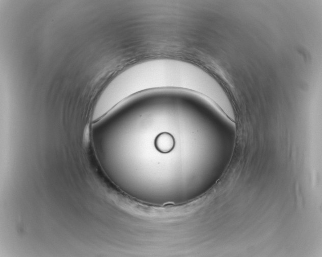 X0000115160027200911101759