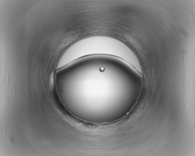 X0000115160028200911101759
