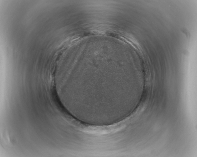 X0000115160029200911101759