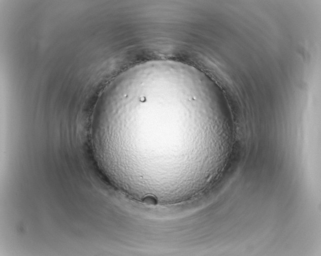 X0000115160030200911101759