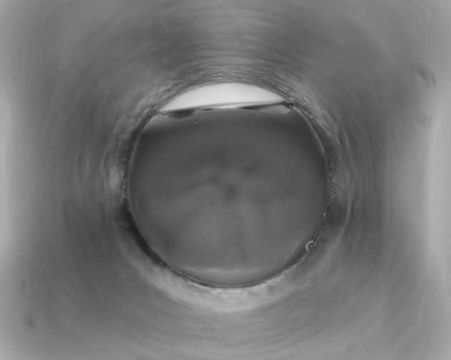 X0000115160031200911101759