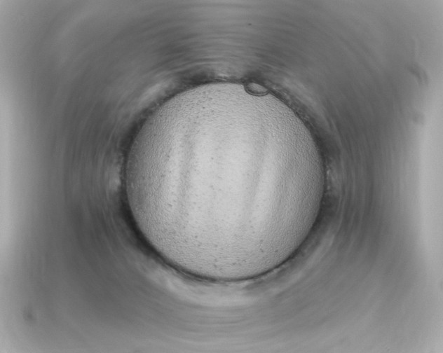 X0000115160032200911101759