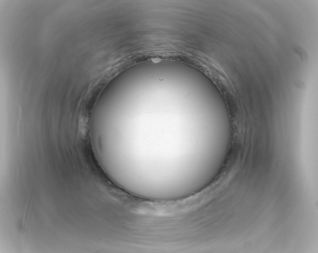 X0000115160033200911101759