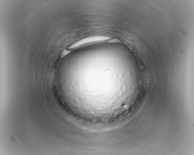 X0000115160034200911101759