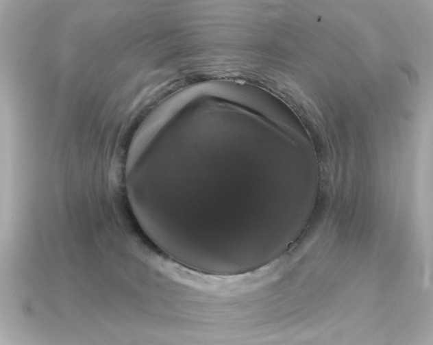 X0000115160035200911101759