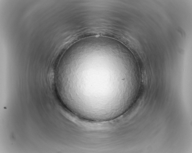 X0000115160036200911101759