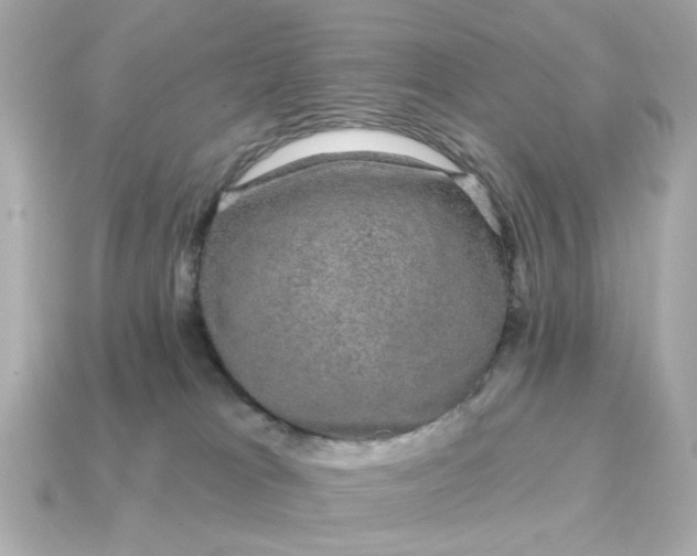 X0000115160037200911101759