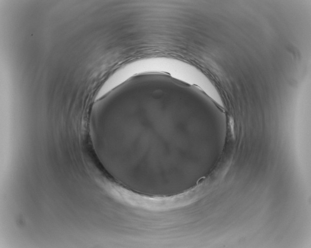 X0000115160039200911101759