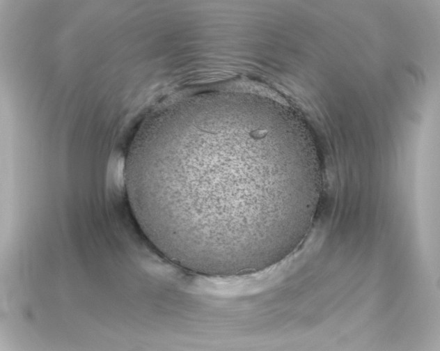 X0000115160041200911101759