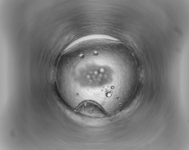 X0000115160044200911101759