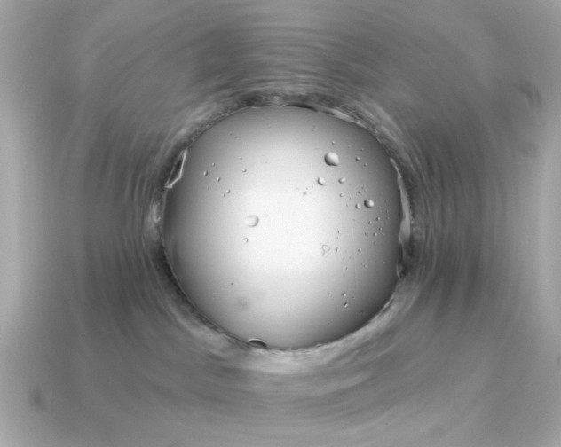 X0000115160045200911101759
