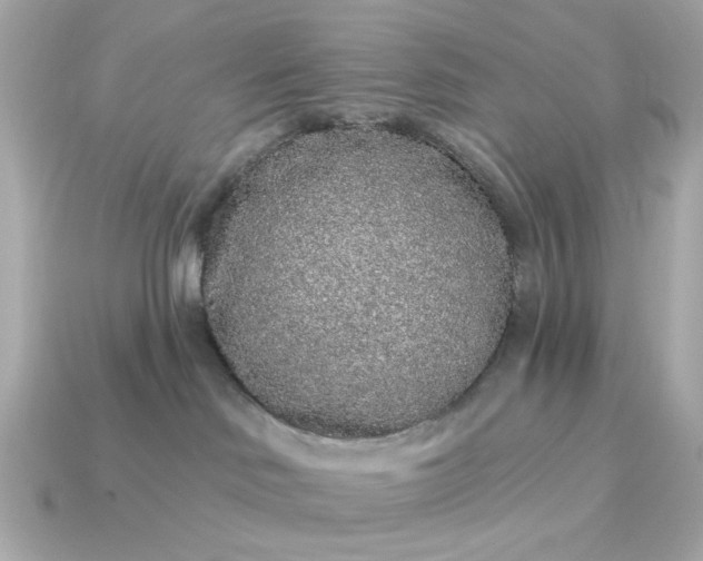 X0000115160046200911101759