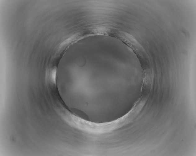 X0000115160047200911101759