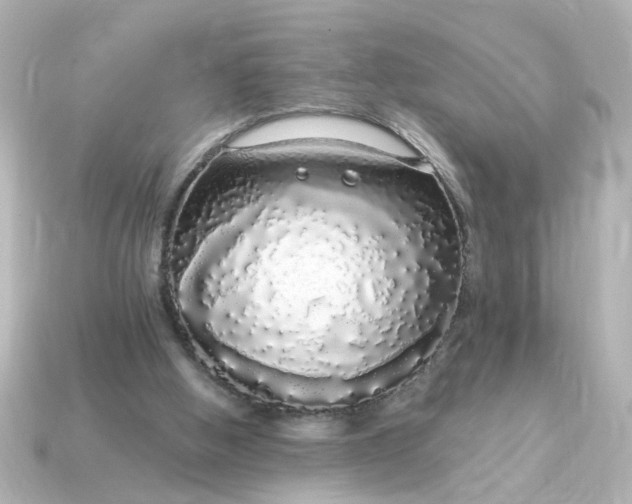 X0000115160058200911101759