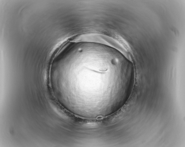 X0000115160059200911101759