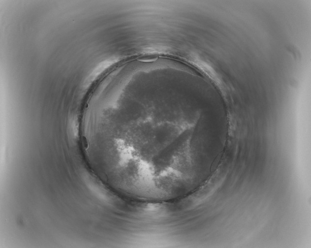 X0000115160060200911101759