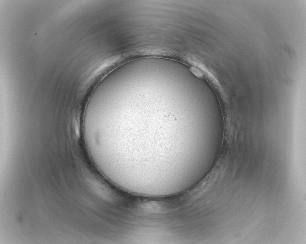 X0000115160062200911101759