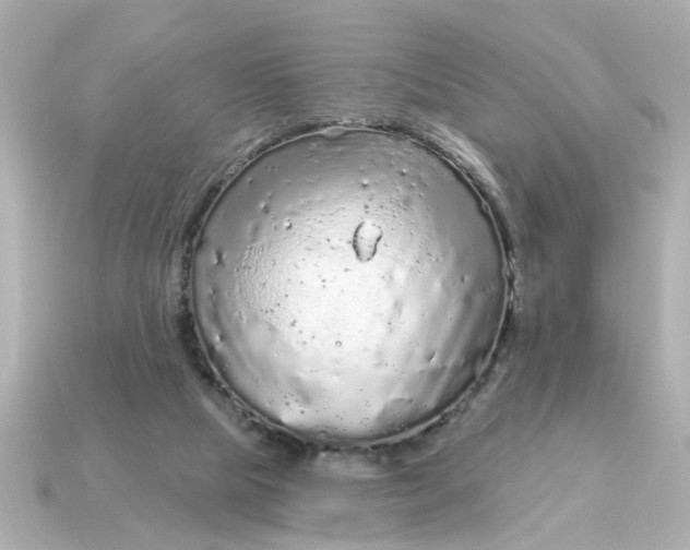 X0000115160065200911101759