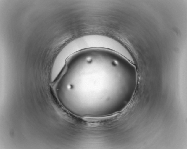 X0000115160066200911101759