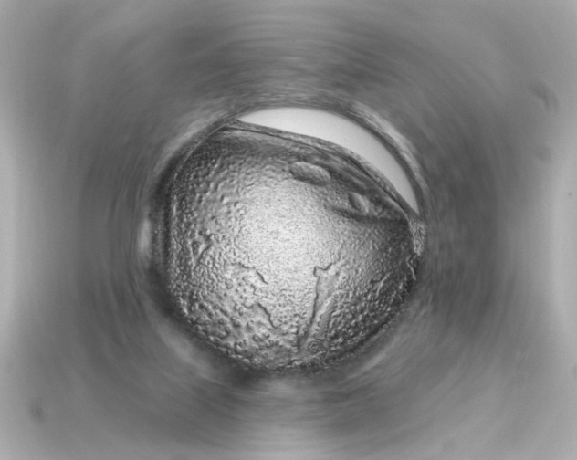 X0000115160067200911101759