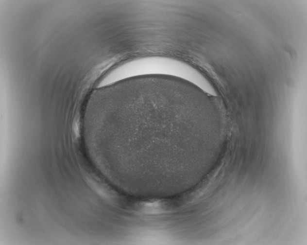 X0000115160068200911101759