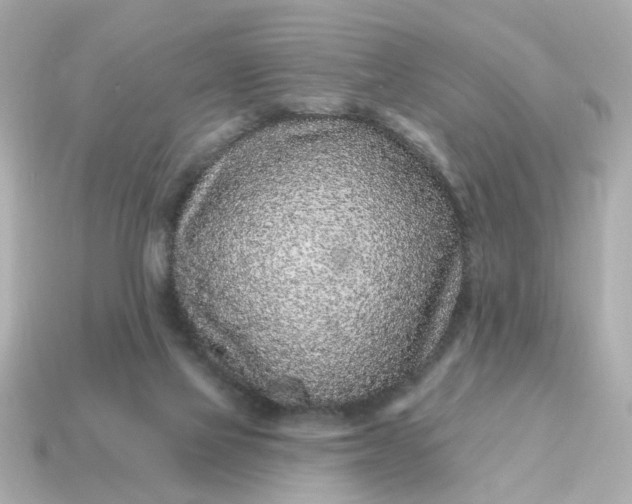 X0000115160069200911101759