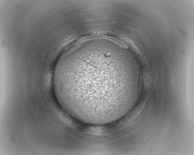 X0000115160071200911101759