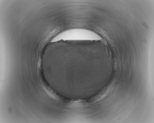 X0000115160072200911101759
