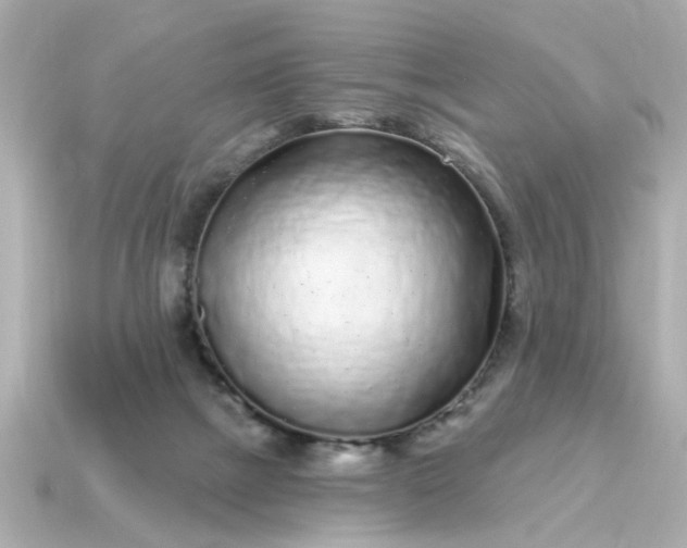 X0000115160073200911101759