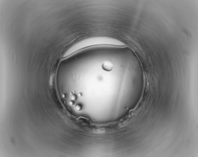 X0000115160075200911101759