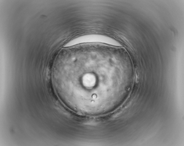 X0000115160077200911101759