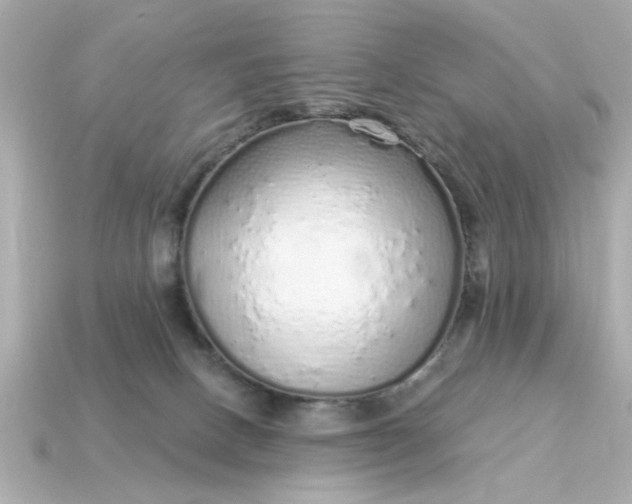 X0000115160082200911101759