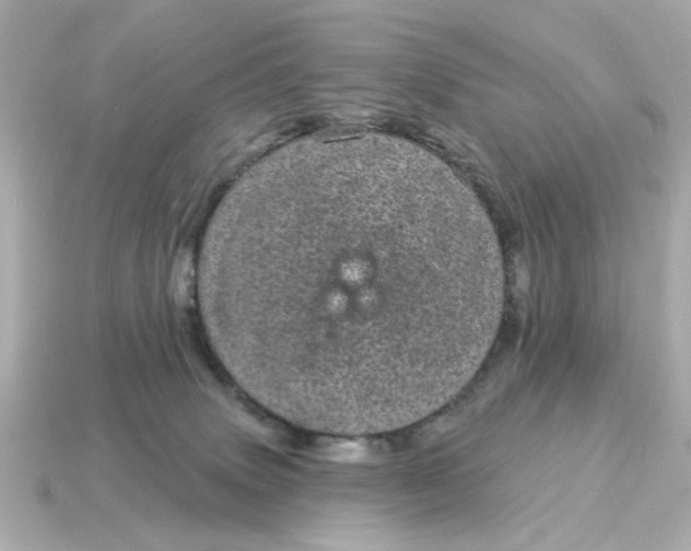 X0000115160083200911101759