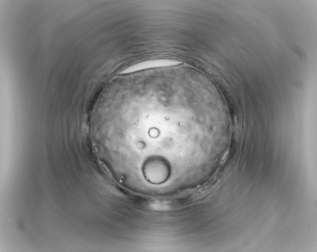 X0000115160085200911101759